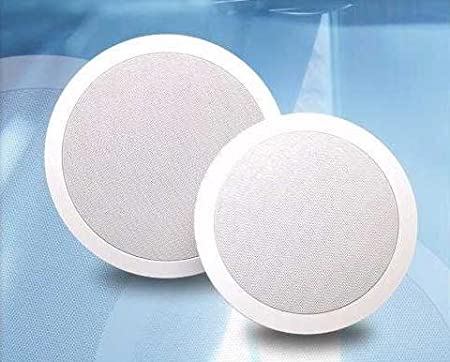 Vista Acoustics 8 Inch In-Ceiling Speakers (Used)